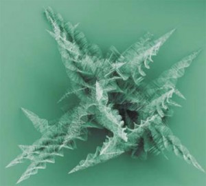 Pine tree-like nanowires