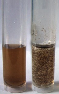 A new method for removing radioactive material from solutions is the result of collaboration between Rice University and Lomonosov Moscow State University. The vial at left holds microscopic particles of graphene oxide in a solution. At right, graphene oxide is added to simulated nuclear waste, which quickly clumps for easy removal. Image by Anna Yu. Romanchuk/Lomonosov Moscow State University