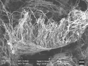 Rice University and the Honda Research Institute use single-layer graphene to grow forests of nanotubes on virtually anything. The image shows freestanding carbon nanotubes on graphene that has been lifted off of a quartz substrate. One hybrid material created by the labs combines three allotropes of carbon – graphene, nanotubes and diamond – into a superior material for thermal management. (Credit: Honda Research Institute)