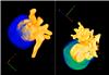 Two examples of nanostars with one silicon oxide face (bluish) and another with golden branches (yellow). / Credit: Liz-Marzán et al.