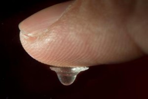 Caption: This photo shows a single droplet lens suspended on a fingertip. Credit: Stuart Hay. Courtesy: The Optical Society