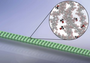 High-sensitivity detection of dilute gases is demonstrated by monitoring the resonance of a suspended polymer nanocavity. The inset shows the target gas molecules (darker) interacting with the polymer material (lighter). This interaction causes the nanocavity to swell, resulting in a shift of its resonance. CREDIT: H. Clevenson/MIT