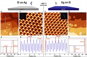 Argonne researchers investigating the properties of silicene (a one-atom thick sheet of silicon atoms) compared scanning tunneling microscope images of atomic silicon growth on silver and atomic silver growth on silicon. The study finds that both growth processes exhibit identical heights and shapes (a, g), indistinguishable honeycomb structures (c, e) and atomic periodicity (d, f). This suggests the growth of bulk silicon on silver, with a silver-induced surface reconstruction, rather than silicene. Courtesy: Argonne National Laboratory