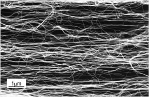 EM image of multi-walled carbon nanotube sheet used for thermo-electromagnetic sound transducer. (Image: Mikhail Kozlov, University of Texas at Dallas)