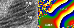 This picture combines a transmission electron microscope image of a nanodumbbell with a gold domain oriented in direction. The seed and gold domains in the dumbbell in the image on the right are identified by geometric phase analysis. Image credit: Soon Gu Kwon.