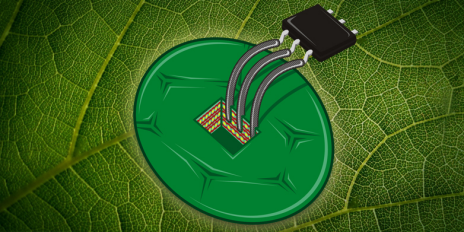 ETH scientists used cells form the tobacco plant to build the by far most sensitive temperature sensor. (Illustration: Daniele Flo / ETH Zurich)