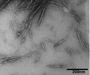 This transmission electron microscope image shows cellulose nanocrystals, tiny structures derived from renewable sources that might be used to create a new class of biomaterials with many potential applications. The structures have been shown to increase the strength of concrete. (Purdue Life Sciences Microscopy Center)