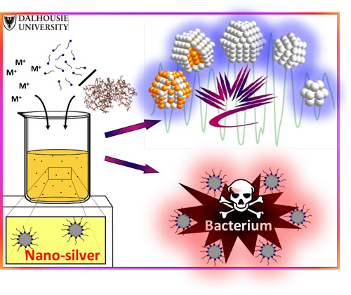 The atomic structure of nanosilver, revealed by synchrotron X-ray spectroscopy, is proving to be a determinant of silver’s antibacterial activity. Padmos, J. Daniel, et al. "Impact of Protecting Ligands on Surface Structure and Antibacterial Activity of Silver Nanoparticles." Langmuir 31.12 (2015): 3745-3752.