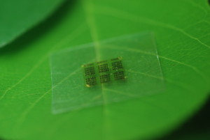 A cellulose nanofibril (CNF) computer chip rests on a leaf. Photo: Yei Hwan Jung, Wisconsin Nano Engineering Device Laboratory