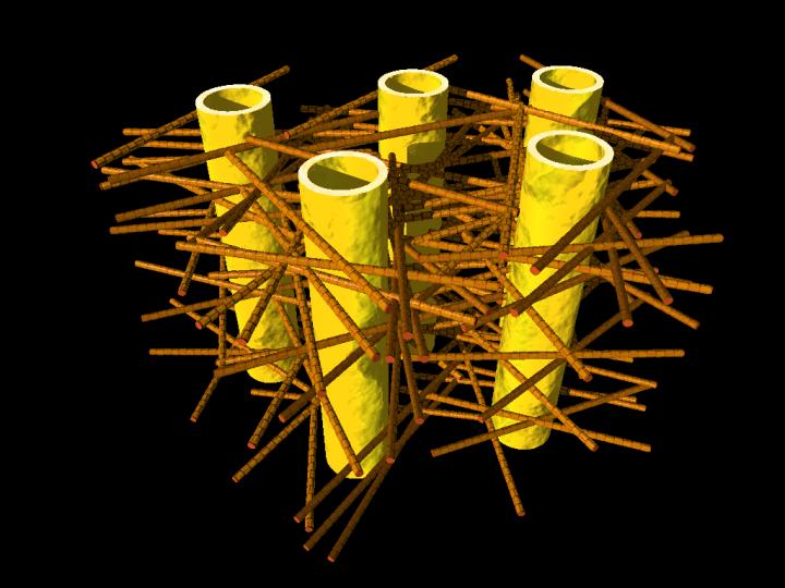 Caption: Illustration shows complex biostructure of dentin: the dental tubuli (yellow hollow cylinders, diameters appr. 1 micrometer) are surrounded by layers of mineralized collagen fibers (brown rods). The tiny mineral nanoparticles are embedded in the mesh of collagen fibers and not visible here. Credit: JB Forien @Charité