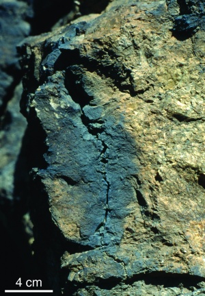 A rock fulgurite revealed that lightning strikes alter quartz's crystal structure on the atomic level. Courtesy: Penn State