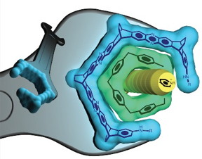 A blue wrench (of molecules) to adjust a green bolt (a pillarene ring) that binds a yellow chemical “guest.” It’s a new tool — just 1.7 nanometers wide — that could help scientists catalyze and create a host of useful new materials. Image courtesy of Severin Schneebeli