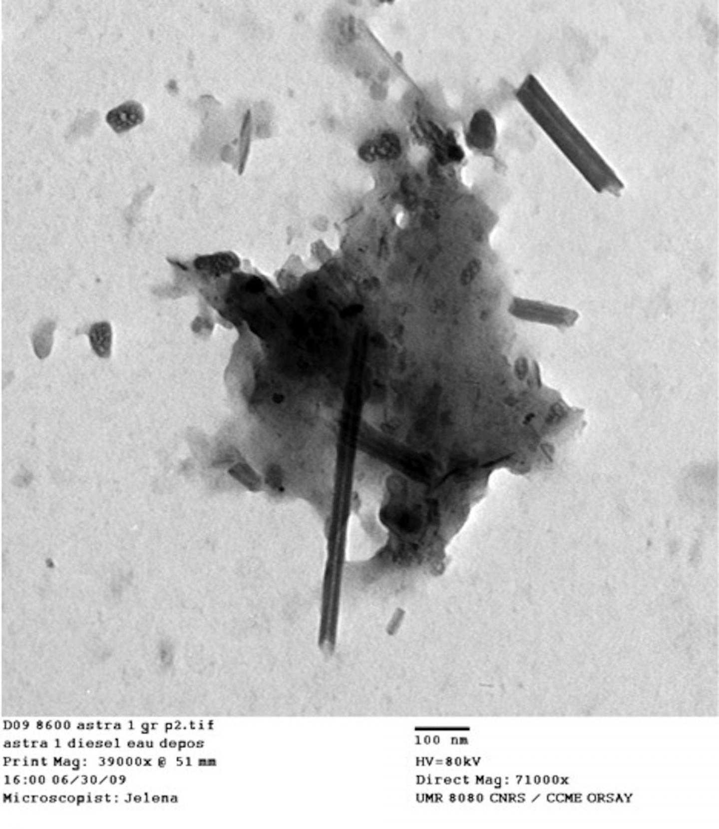  Caption: Carbon nanotubes (the long rods) and nanoparticles (the black clumps) appear in vehicle exhaust taken from the tailpipes of cars in Paris. The image is part of a study by scientists in Paris and at Rice University to analyze carbonaceous material in the lungs of asthma patients. They found that cars are a likely source of nanotubes found in the patients. Credit: Courtesy of Fathi Moussa/Paris-Saclay University
