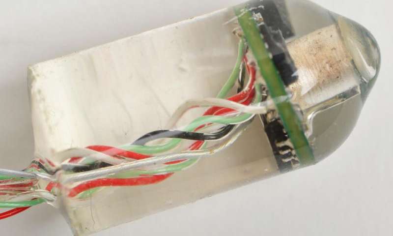 This ingestible electronic device invented at MIT can measure heart rate and respiratory rate from inside the gastrointestinal tract. Courtesy: MIT