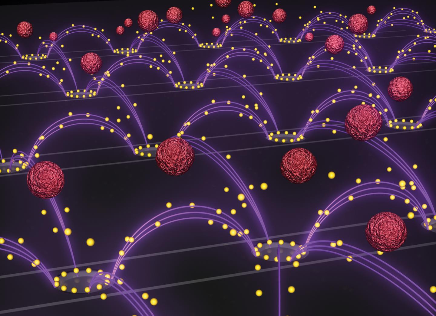  Caption An artist's representation of the nanoparticle removal chip developed by researchers in Professor Michael Heller's lab at the UC San Diego Jacobs School of Engineering. An oscillating electric field (purple arcs) separates drug-delivery nanoparticles (yellow spheres) from blood (red spheres) and pulls them towards rings surrounding the chip's electrodes. The image is featured as the inside cover of the Oct. 14 issue of the journal Small. Credit: Stuart Ibsen and Steven Ibsen.