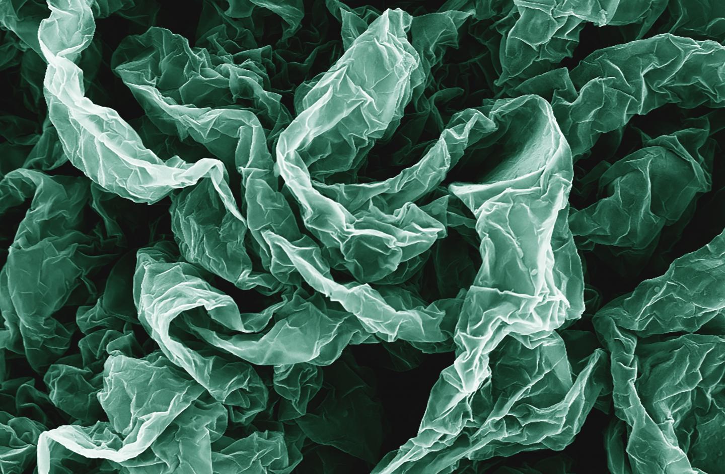 Caption: Wrinkles and crumples, introduced by placing graphene on shrinky polymers, can enhance graphene's properties. Credit: Hurt and Wong Labs / Brown University
