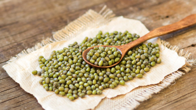 Researchers at Washington University in St. Louis hope that nanoparticle technology can help reduce the need for fertilizer, creating a more sustainable way to grow crops such as mung beans. Courtesy: Washington University in St. Louis