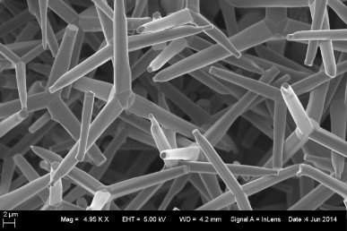 Zinc oxide tetrapod nanoparticles. Credit: Deepak Shukla 
