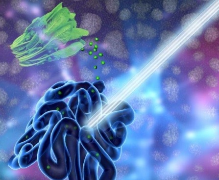 A new UB-led study suggests that chlorophyll-based nanoparticles are an effective imaging agent for the gut. The medical imaging drink, developed to diagnose and treat gastrointestinal illnesses, is made of concentrated chlorophyll, the pigment that makes spinach green. Photo illustration credit: University at Buffalo.