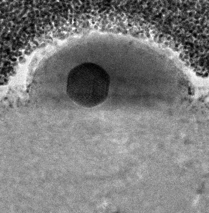 This image shows a single gallium nanoparticle sitting on top of a sapphire base. The black sphere in the center reveals the presence of solid gallium within the liquid drop exterior. The sapphire base is important, as it is rigid with a relatively high surface energy. As the nanoparticle and sapphire try to minimize their total energy, this combination of properties drives the formation and coexistence of the two phases. Courtesy: Duke University