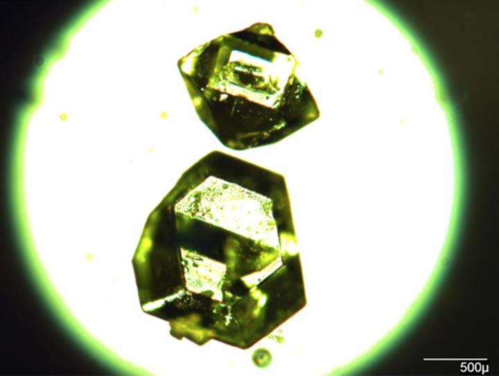 Caption: Individual crystals of synthetic zhemchuzhnikovite, prepared by Igor Huskić, McGill University. Credit: Igor Huskić, Friščić Research Group, McGill University