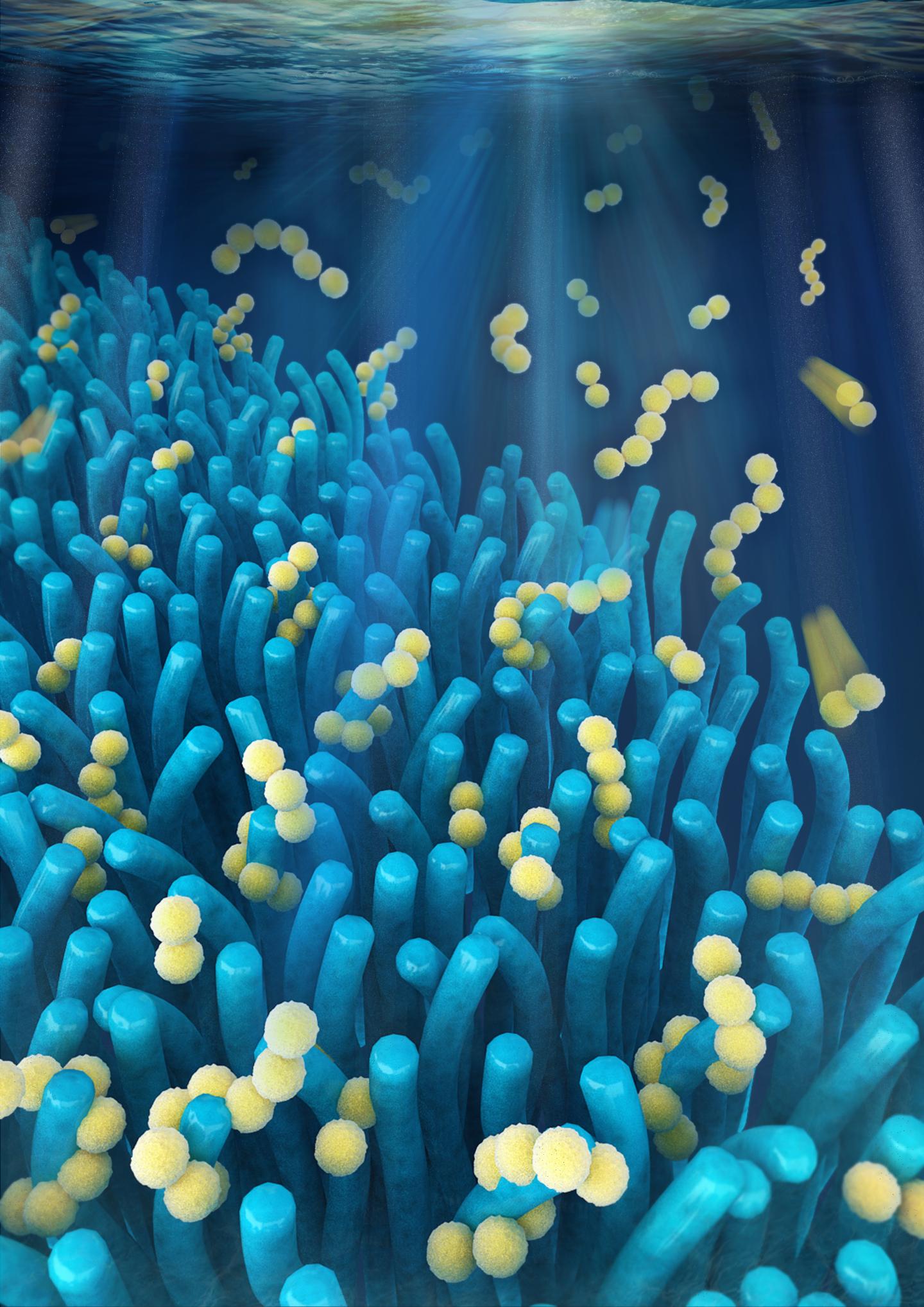 Caption: This is a computer visualization of villi-like battery material. Credit: Teng Zhao