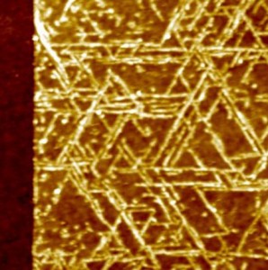 A top view image of GrBP5 nanowires on a 2-D surface of molybdenum disulfide.Mehmet Sarikaya/Scientific Reports